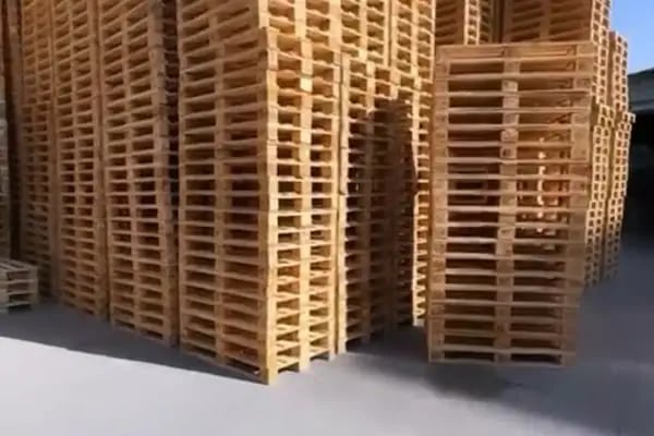 World Ambalaj Plastik San. Tic. Ltd. Şti. - Resim 19