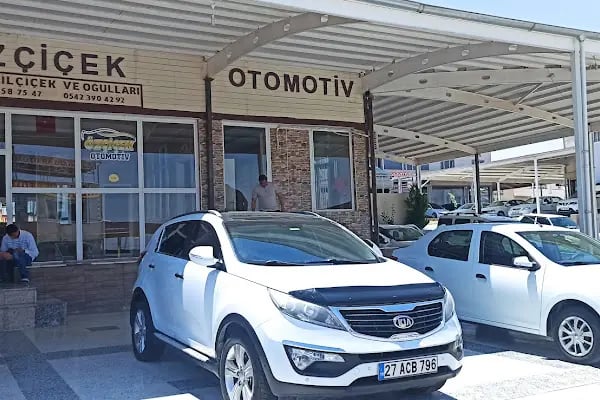 Şanliurfa oto alım satım galericiler sitesi - Resim 8