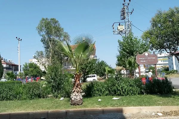 Palmiye Parkı - Resim 4