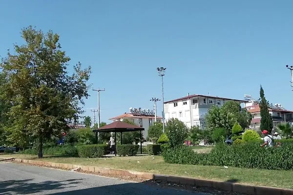 Palmiye Parkı - Resim 3