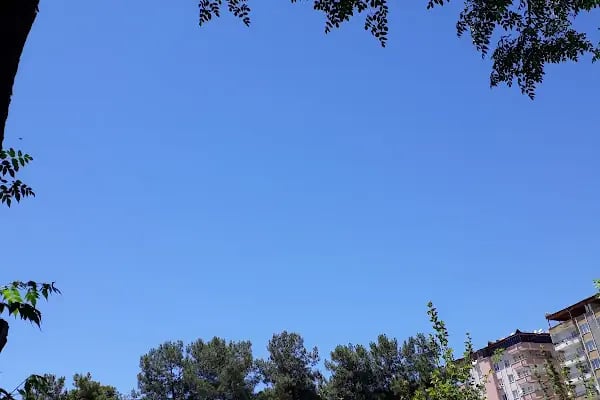 Millet Parkı - Resim 19