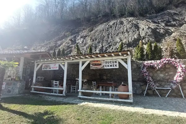 Badomer At Çiftliği - Resim 8
