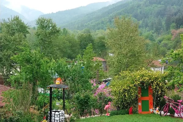 KAZANÇI VUNE - Resim 2