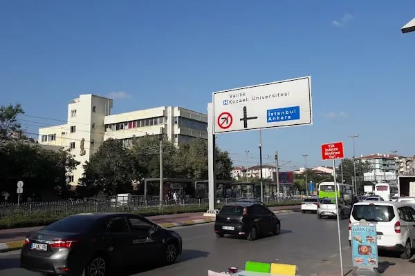 Kocaeli Üniversitesi Güzel Sanatlar Fakültesi - Resim 5