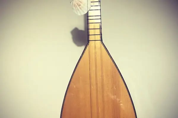 MÜZİK KABUĞU SANAT EĞİTİMİ MERKEZİ - Resim 11
