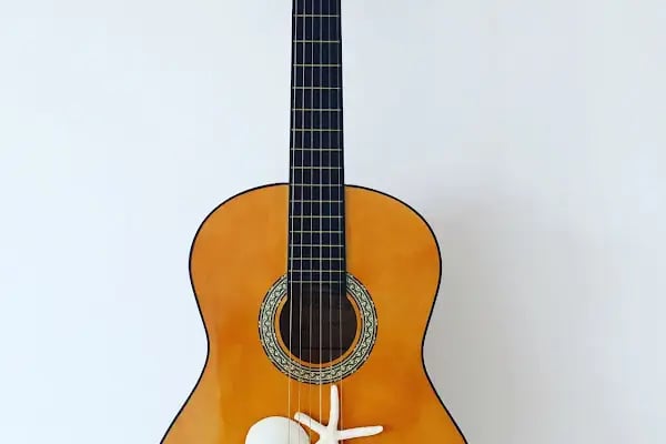 MÜZİK KABUĞU SANAT EĞİTİMİ MERKEZİ - Resim 10