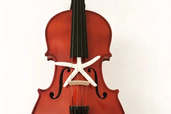 MÜZİK KABUĞU SANAT EĞİTİMİ MERKEZİ - Resim 9