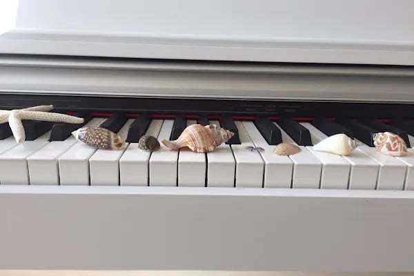 MÜZİK KABUĞU SANAT EĞİTİMİ MERKEZİ - Resim 17