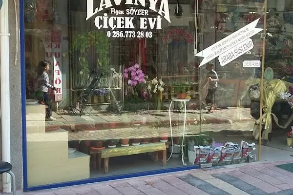 Lavinya Çiçek Evi - Resim 2