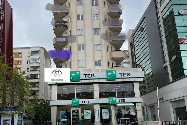 TEMENOS PSİKOLOJİ MERKEZİ - Resim 1