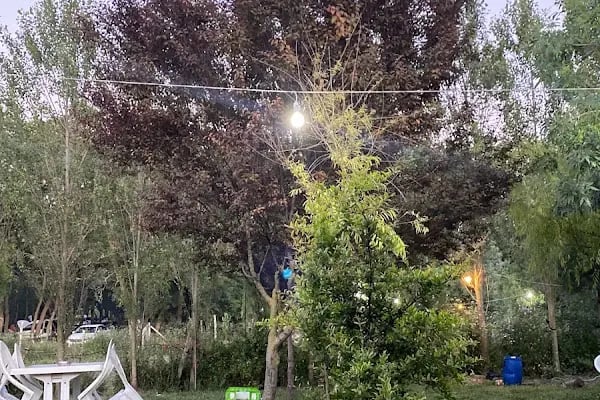 Kavaklı Çay Bahçesi - Resim 16