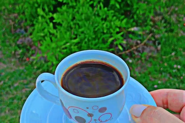Kavaklı Çay Bahçesi - Resim 12