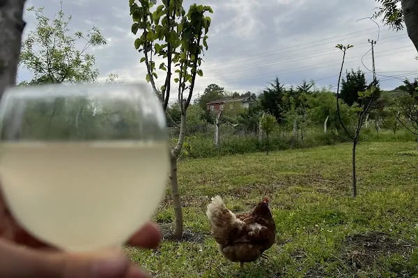 Kavaklı Çay Bahçesi - Resim 6