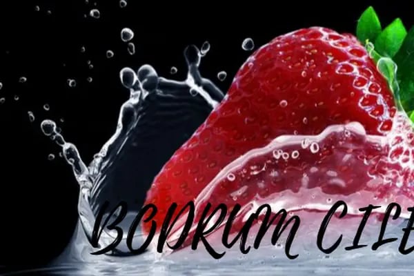 bodrumcilek - Resim 4