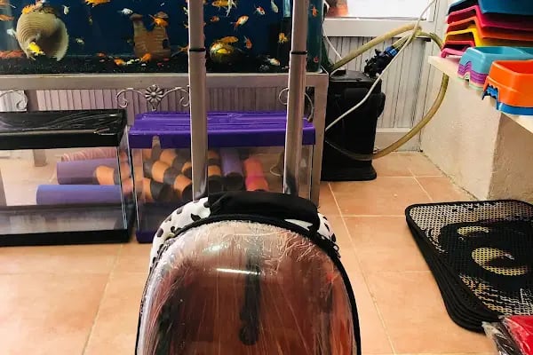 AYVALIK PETSHOP | MGB Petshop - Resim 12