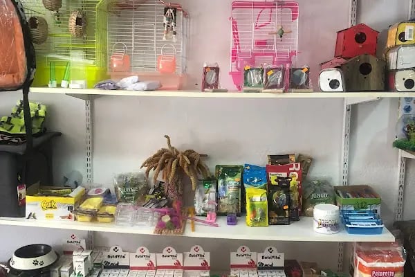 AYVALIK PETSHOP | MGB Petshop - Resim 14