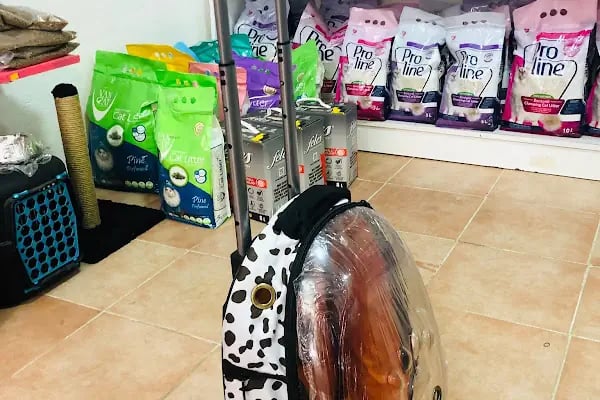 AYVALIK PETSHOP | MGB Petshop - Resim 15