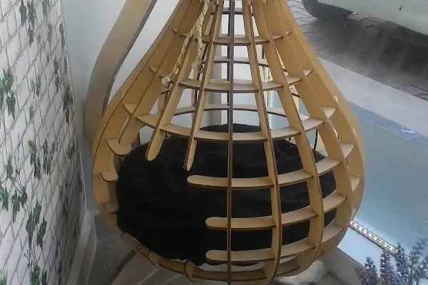 Petklinik Veteriner Klinigi - Resim 6