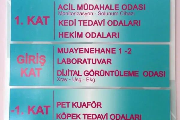 Petklinik Veteriner Klinigi - Resim 13
