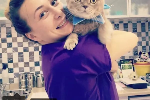 Petklinik Veteriner Klinigi - Resim 12