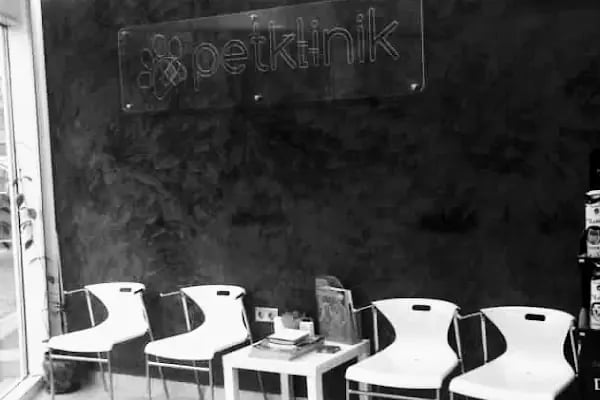 Petklinik Veteriner Klinigi - Resim 8