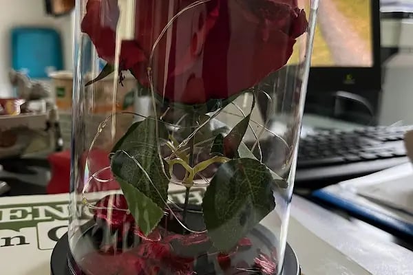 You Can Dil Merkezi - Resim 17