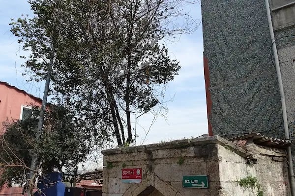 Kesik Baş Ve Deviş Molla Muhammed Türbesi - Resim 5