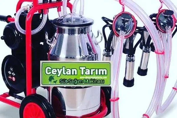AKYURT MANİTOU &amp; KEPÇE &amp; FORKLİFT HİZMETİ - Resim 16
