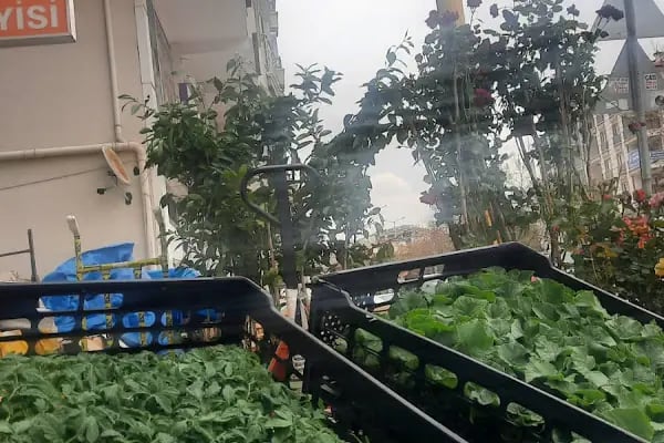 AKYURT MANİTOU &amp; KEPÇE &amp; FORKLİFT HİZMETİ - Resim 18