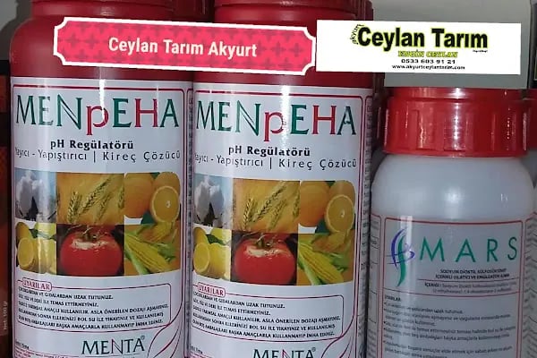 AKYURT MANİTOU &amp; KEPÇE &amp; FORKLİFT HİZMETİ - Resim 8