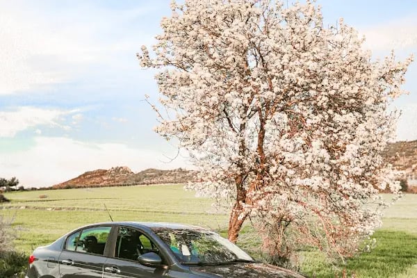 Çukurova Havalimanı Araç Kiralama (COV) - Kerem Car Rental - Resim 20
