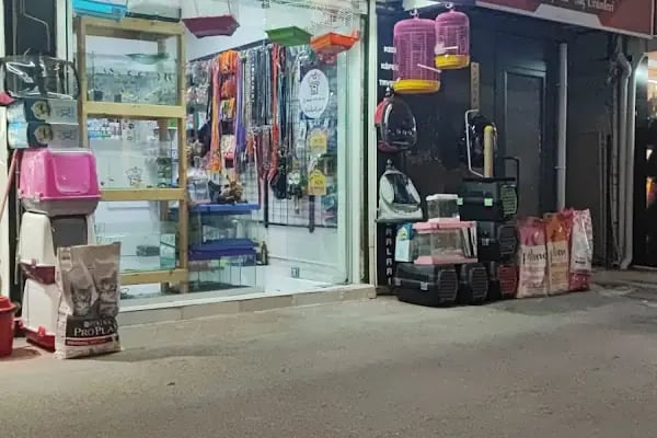 Sakarya Sihirli Petshop - Resim 10
