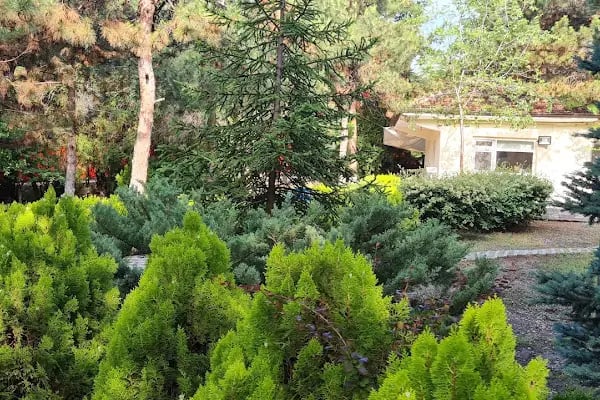 Alparslan Türkeş Kabri - Resim 15