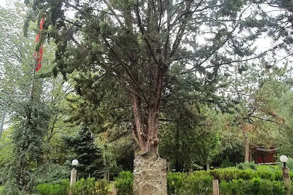 Alparslan Türkeş Kabri - Resim 13
