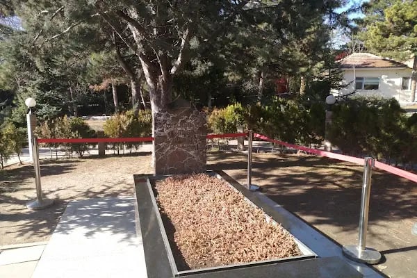 Alparslan Türkeş Kabri - Resim 18