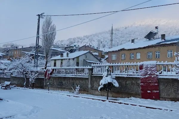 Armutlu Ayşe Veli Demiröz İlköğretim Okulu - Resim 8