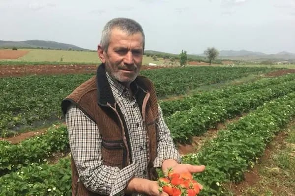 Armutlu Ayşe Veli Demiröz İlköğretim Okulu - Resim 17
