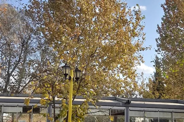 Susurluk Belediye Parkı - Resim 16