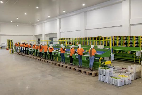 ADALYA DIŞ TİCARET LTD. ŞTİ. - Resim 4