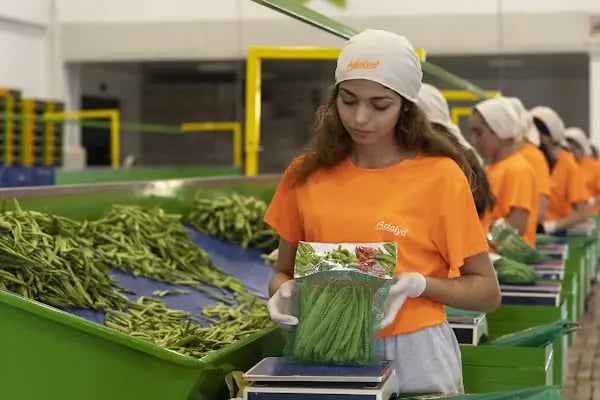 ADALYA DIŞ TİCARET LTD. ŞTİ. - Resim 2