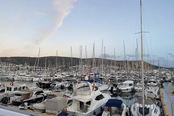 Armada Marin - Resim 6