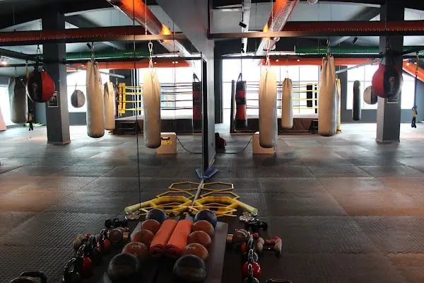 Ankara Kick Boks - Resim 2