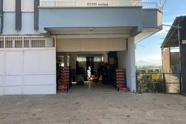 FİNİPO TARIM - Resim 4