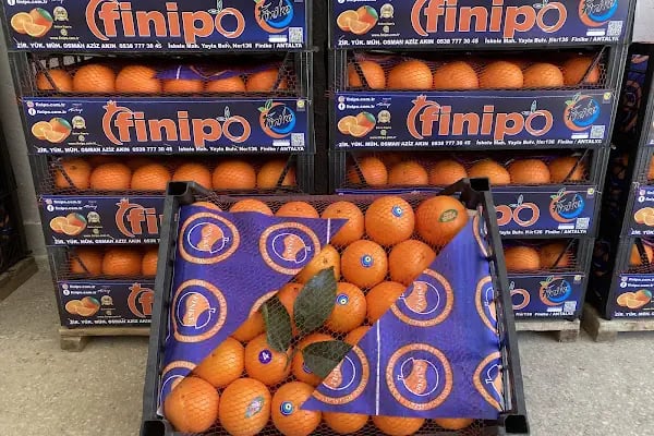 FİNİPO TARIM - Resim 2