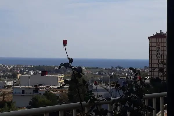 Anamur Belediyesi Kültür Merkez Ve Sinema - Resim 20