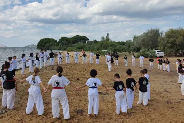 BANDIRMA Akademi Dövüş Sanatları - Resim 17