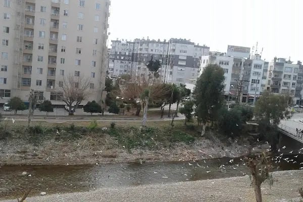 Kuzey Kıbrıs Türk Cumhuriyeti Konsolosluğu - Resim 8
