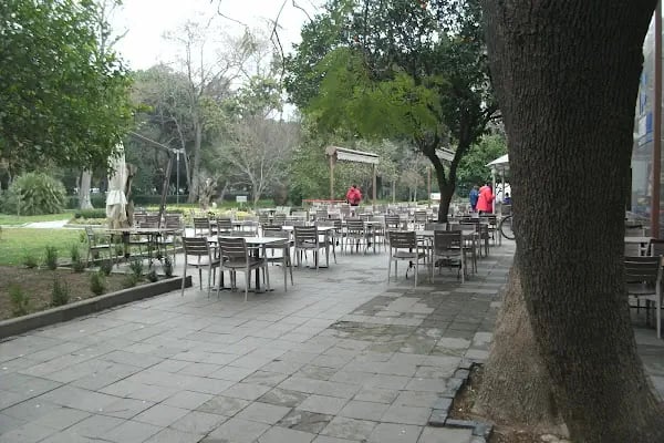 İzmir Sanat - Resim 12