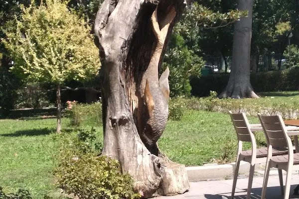 İzmir Sanat - Resim 5