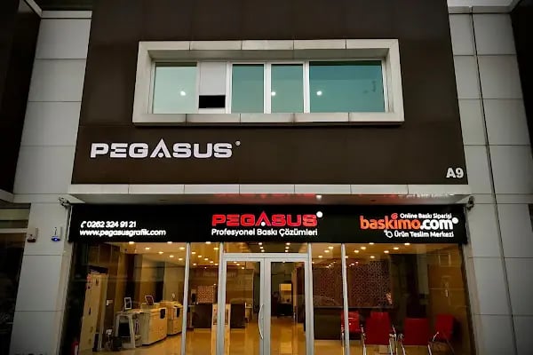 PEGASUS PROFESYONEL BASKI ÇÖZÜMLERİ - Resim 2